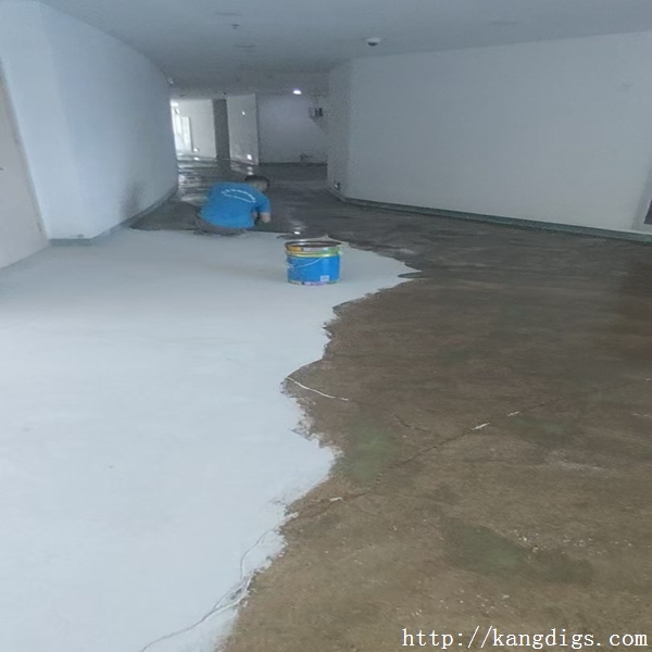 mmexport1786975940050 - 复制 .jpg