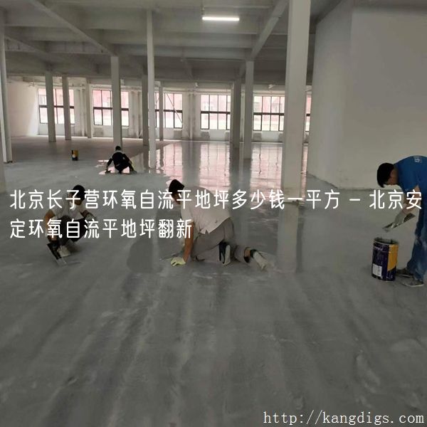 北京长子营环氧自流平地坪多少钱一平方 - 北京安定环氧自流平地坪翻新