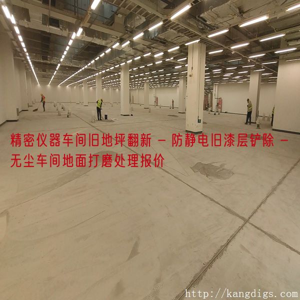 精密仪器车间旧地坪翻新 - 防静电旧漆层铲除 - 无尘车间地面打磨处理报价